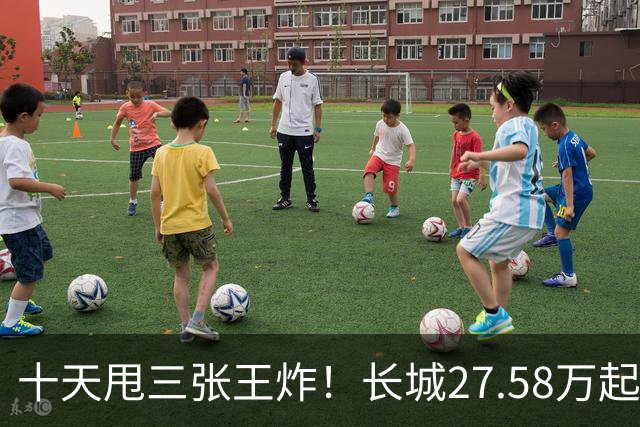 十天甩三张王炸！长城27.58万起，864马力续航1096km