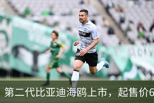 第二代比亚迪海鸥上市，起售价6.29万起！正面硬刚吉利星愿？